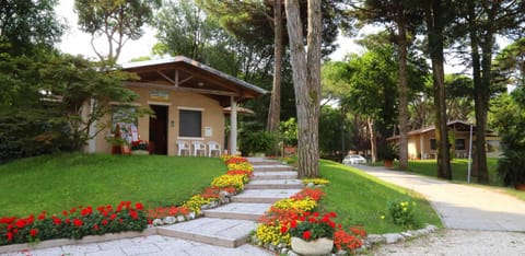 Garden, Lobby or reception