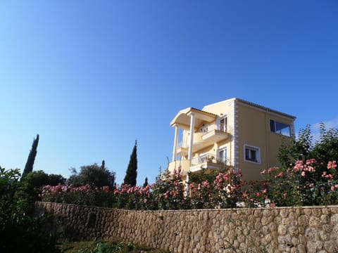 Property building, Day