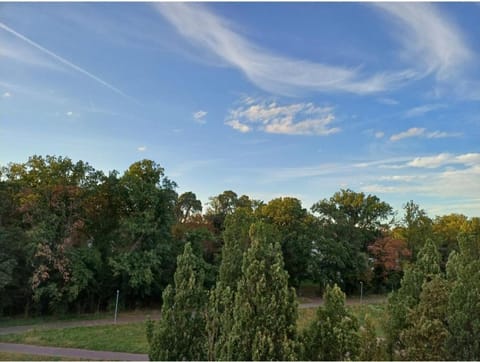 Appartement Farbenfroh Apartment in Karlsruhe