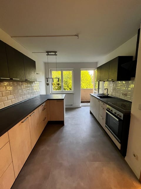 Kitchen or kitchenette, dishwasher, oven