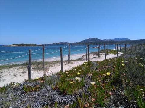 Spring, Natural landscape, Snorkeling, Beach, Windsurfing, Canoeing, Hiking, Cycling