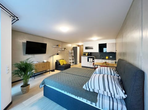 Bed, TV and multimedia, Living room, Seating area