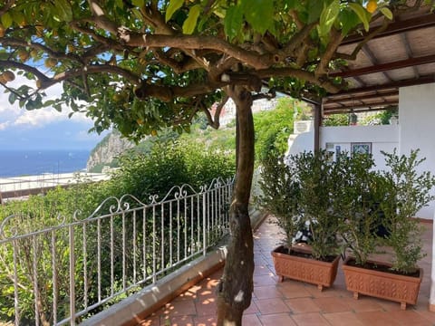 La Casa di Audrey House in Marina Grande