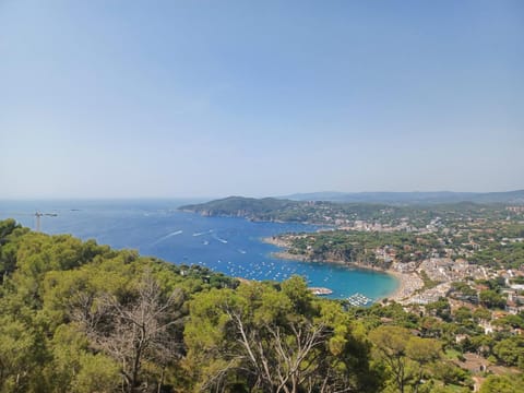 Natural landscape, Bird's eye view, Sea view