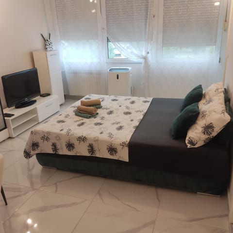 Studio apartman Franka Apartment in Vojvodina