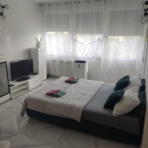 Studio apartman Franka Apartment in Vojvodina