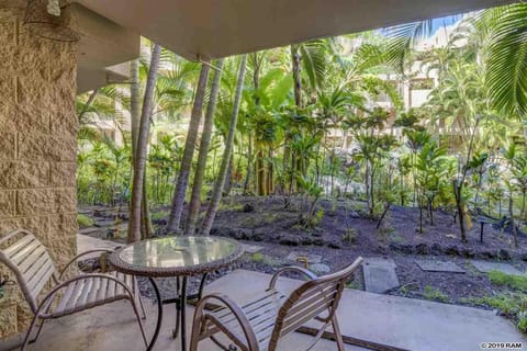 Awesome Paki Maui Beach condos in Lahaina Apartment hotel in Kaanapali