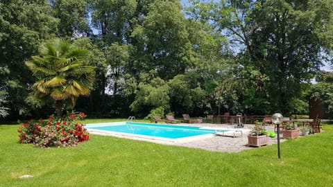 Garden, Swimming pool