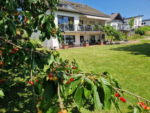 Property building, Day, Natural landscape, Summer, Garden, Garden view