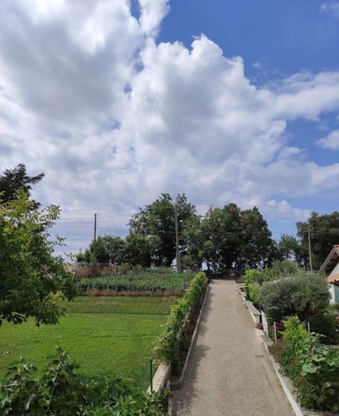 The Cliff Amalfi Coast - Apartment 1 Apartment in Furore