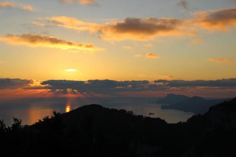 The Cliff Amalfi Coast - Apartment 1 Apartment in Furore