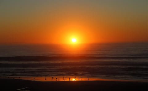 Sunrise