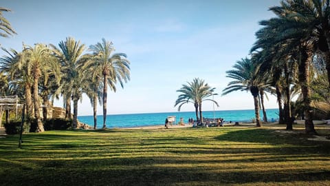 Natural landscape, Garden, Beach, Garden view, Sea view