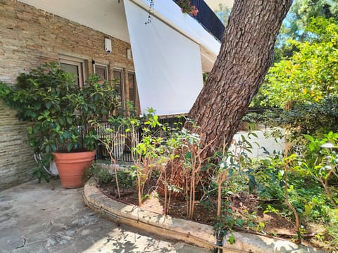 Property building, Garden