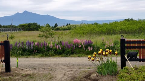 Spring, Day, Natural landscape, Garden, Garden view, Mountain view