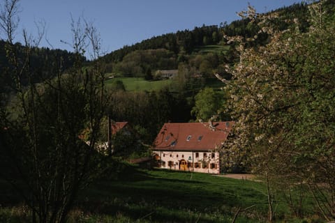 Mountain view