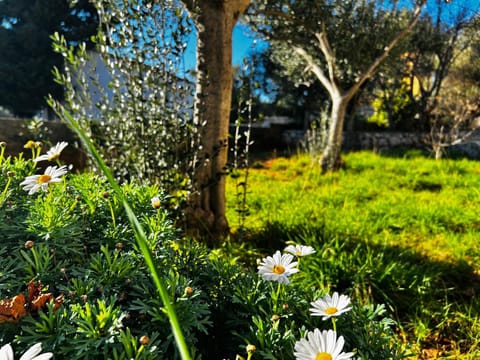 Natural landscape, Garden