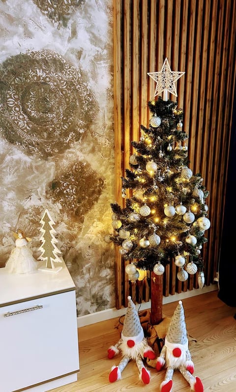 Grunwaldzka 65 Elbląg Apartment in Pomeranian Voivodeship