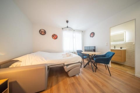 Frontiere Suites 6 Saint-Louis Proche Bale Apartment in Weil am Rhein