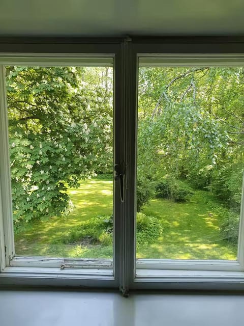 Day, Natural landscape, Garden, Garden view