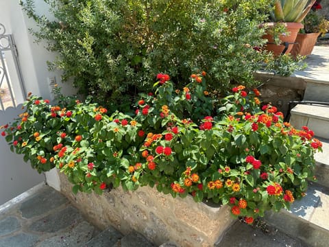 MantasHouse Apartment in Spetses