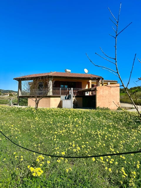 Property building, Spring, Garden, Garden view