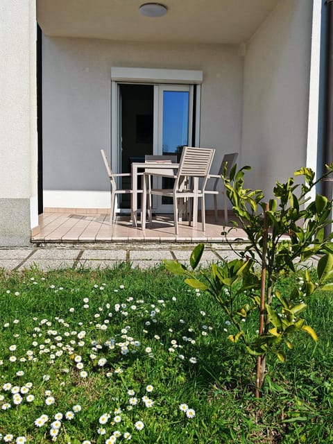 Property building, Patio