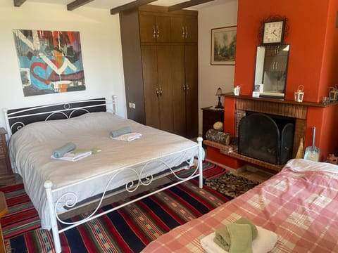 Bed, Photo of the whole room, Bedroom, fireplace