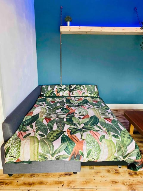 The Cosy Castaway Apartment in Ireland