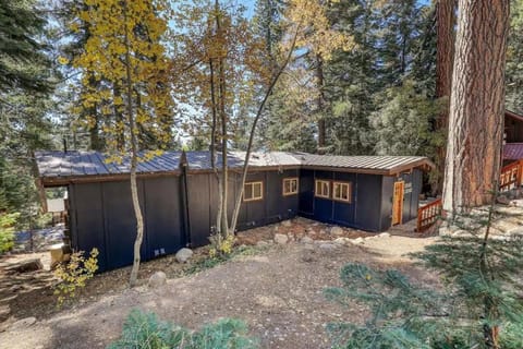 Updated Cabin near Beach&Ski HotTub Sauna Pets EV Cabin in Tahoe City