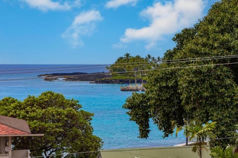 Kona Plaza#302 House in Holualoa
