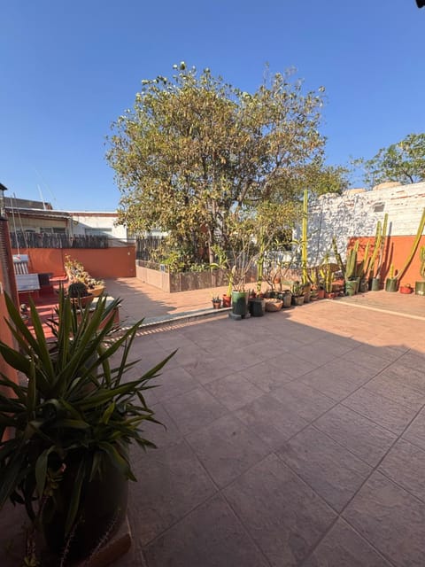 Garden, Balcony/Terrace, Garden view