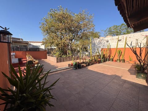 Garden, Balcony/Terrace, Garden view
