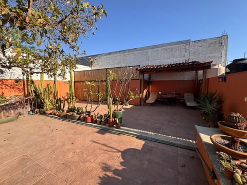 Garden, Balcony/Terrace, Garden view