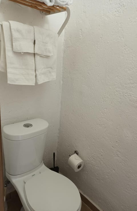 LOFt Apartment in Tepoztlan