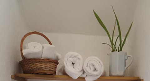 LOFt Apartment in Tepoztlan