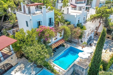 Property building, Day, Bird's eye view, Pool view, Swimming pool