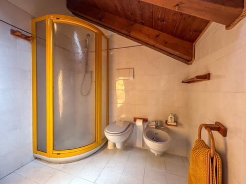 Shower, Toilet, Bathroom, bidet