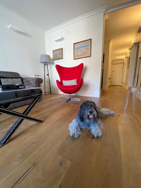 Living room, Seating area, Pets