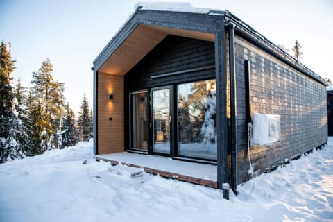 Villa Alaska Chalet in Lapland