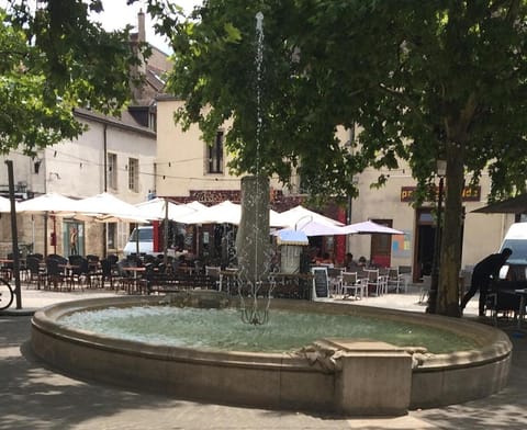 La Parenthèse calme Apartment in Dijon