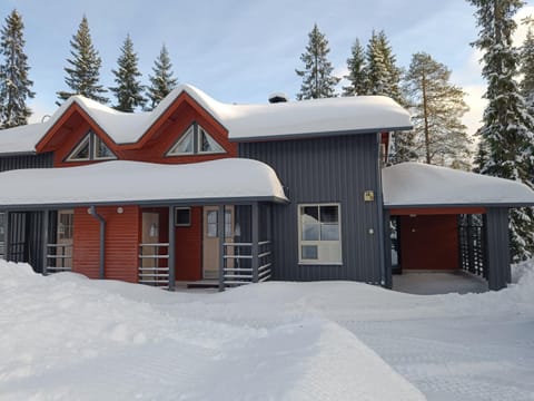 Romerinteen kartano 14B House in Lapland