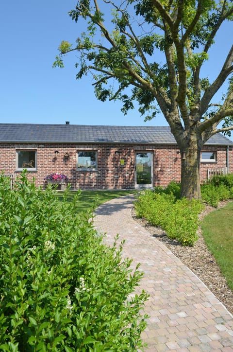 Property building, Spring, Day, Garden