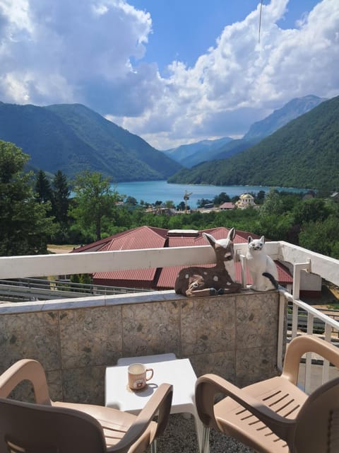 Apartment ONE Apartment in Montenegro