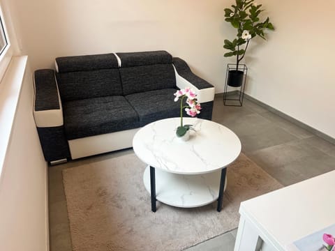 ViDa Apartment Apartment in Baden-Baden