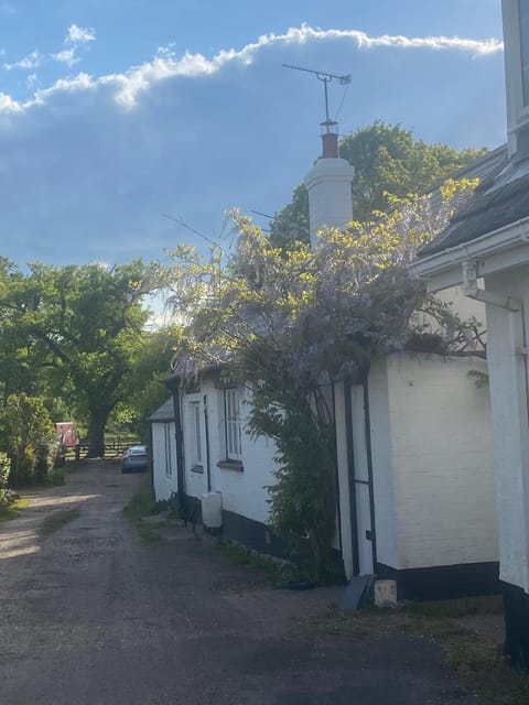 Property building, Street view