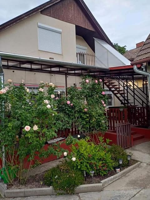 Property building, Garden view