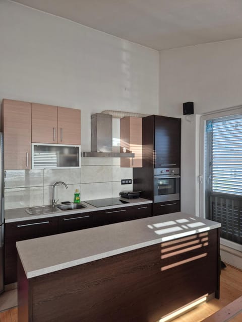 Kitchen or kitchenette, dishwasher, oven, stove