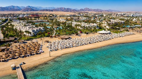 Day, Bird's eye view, Beach, sunbed