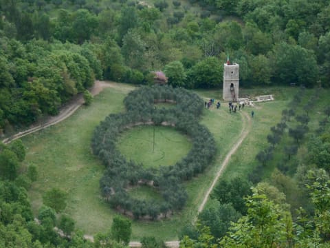 Nearby landmark, Natural landscape